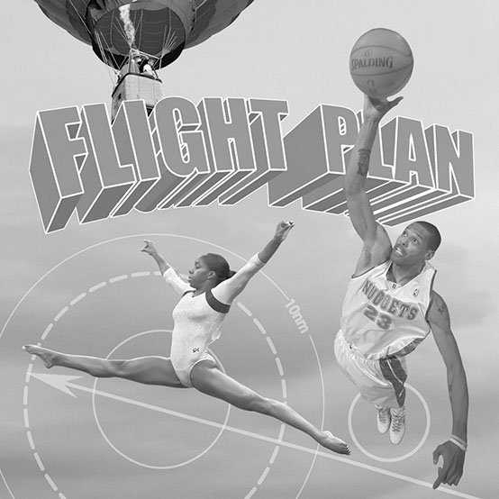 Flight plan gray