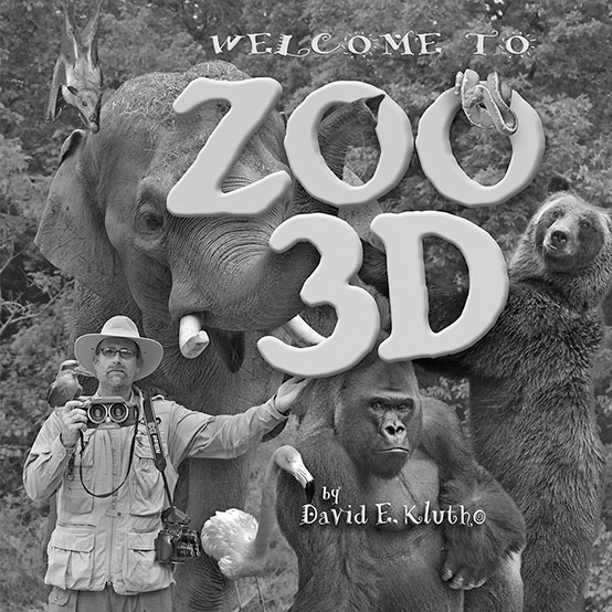 zoo 3d gray